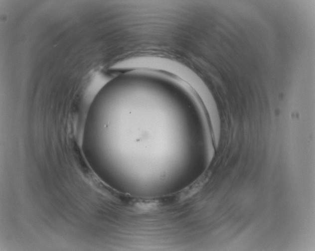 X0000083050560200702231958