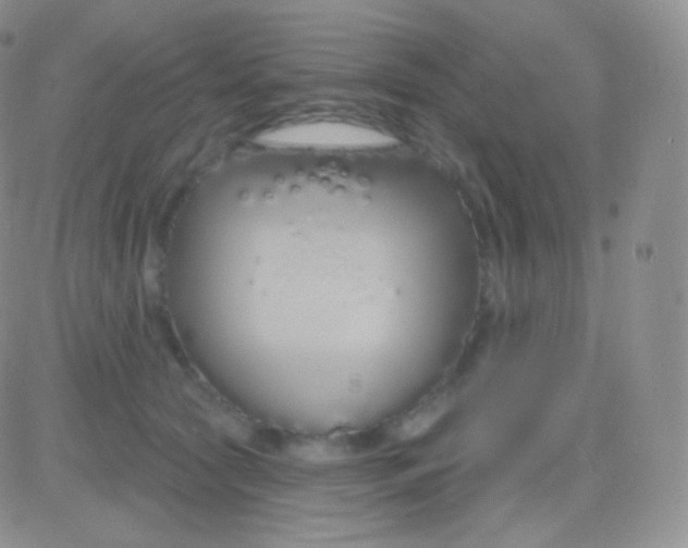 X0000083050561200702231958