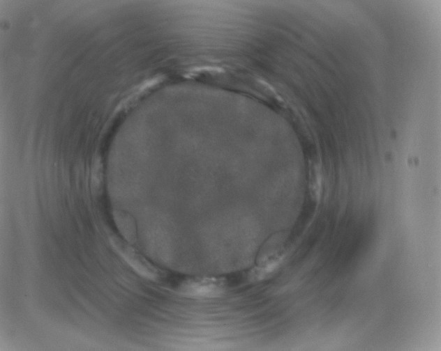 X0000083050563200702231958