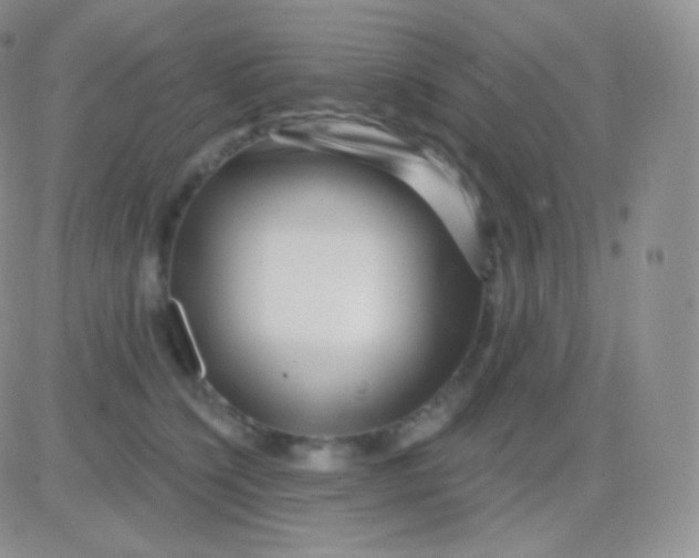 X0000083050564200702231958