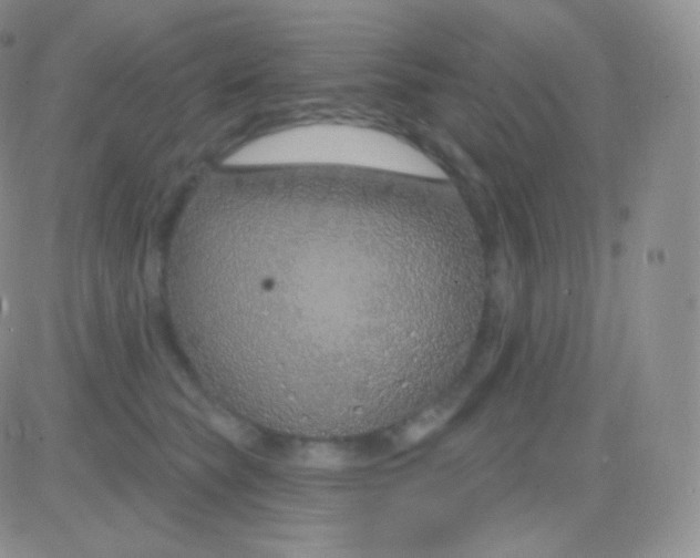 X0000083050565200702231958