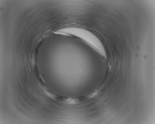 X0000083050566200702231958