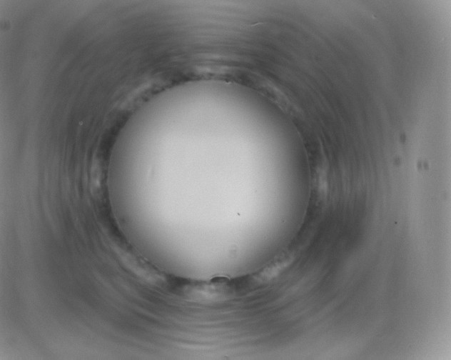 X0000083050567200702231958