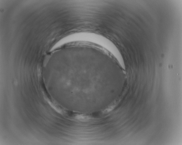 X0000083050568200702231958