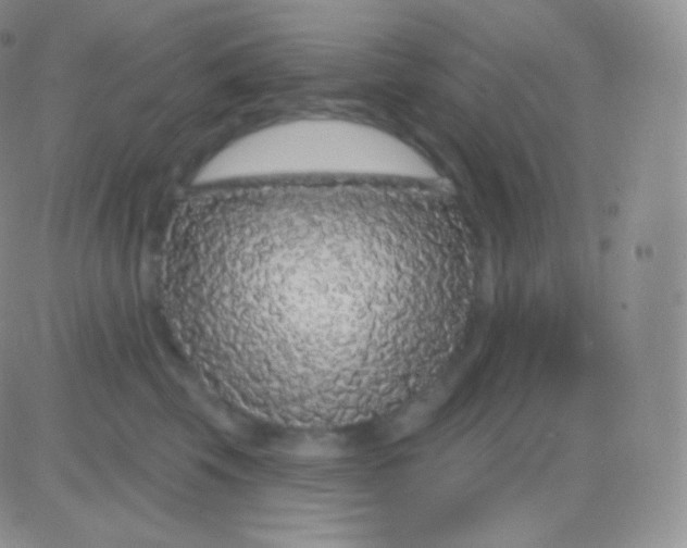 X0000083050569200702231958