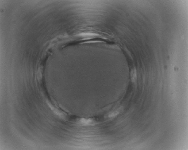 X0000083050570200702231958