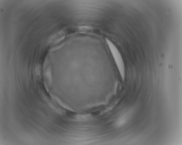 X0000083050571200702231958