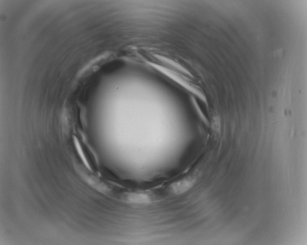 X0000083050572200702231958