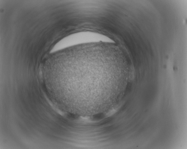 X0000083050573200702231958