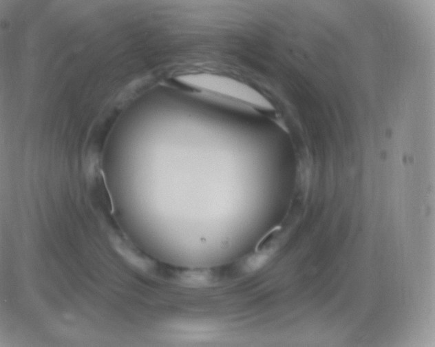 X0000083050574200702231958