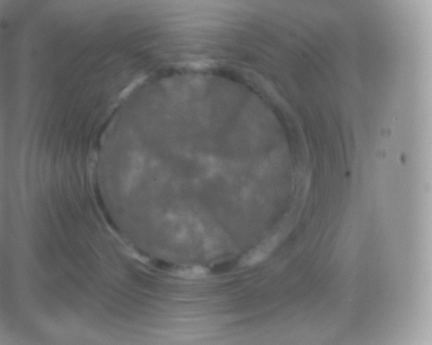 X0000083050576200702231958