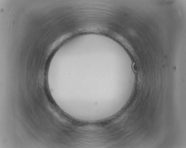 X0000083050578200702231957