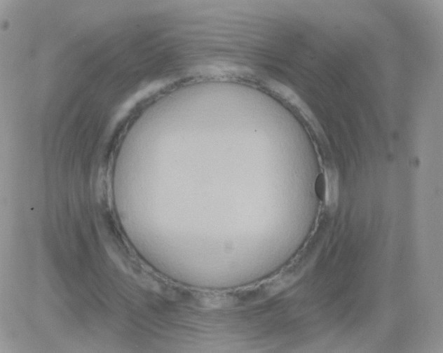 X0000083050579200702231957