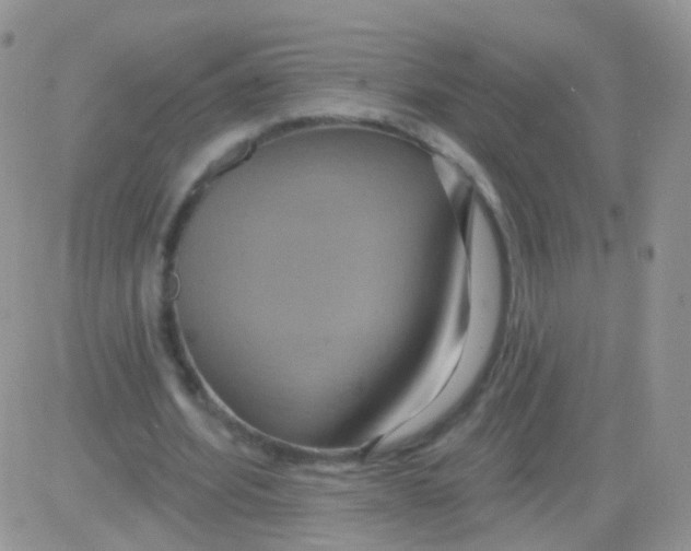 X0000083050580200702231957