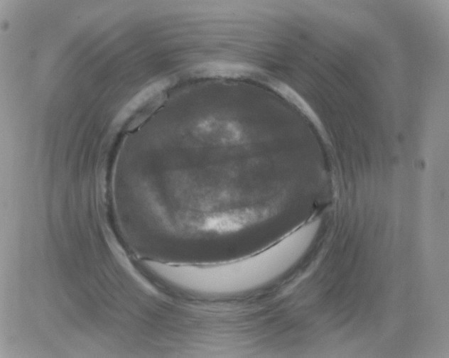 X0000083050581200702231957