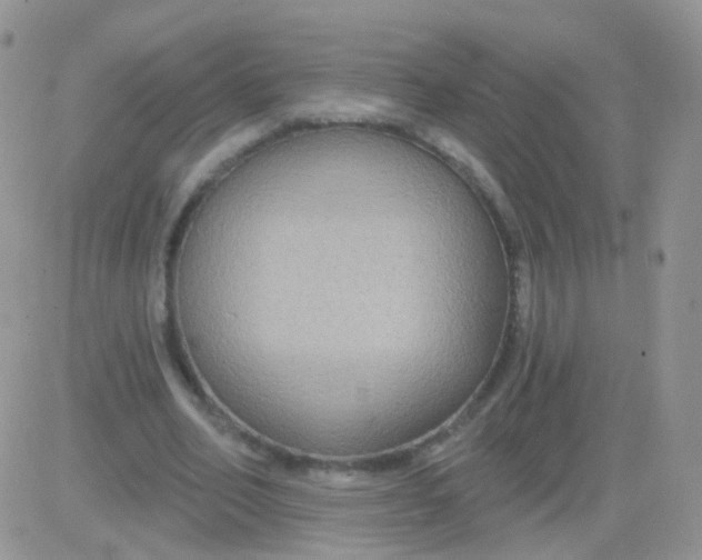 X0000083050582200702231957