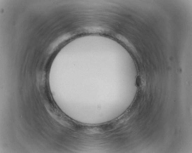 X0000083050583200702231957