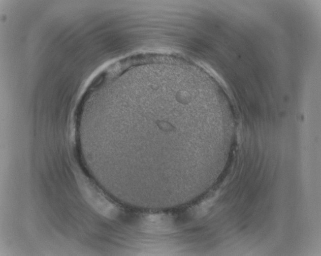 X0000083050584200702231957