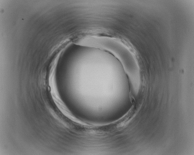 X0000083050585200702231957