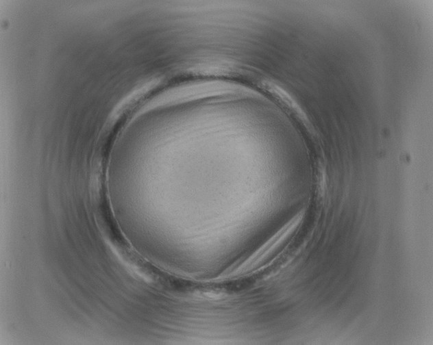 X0000083050586200702231957