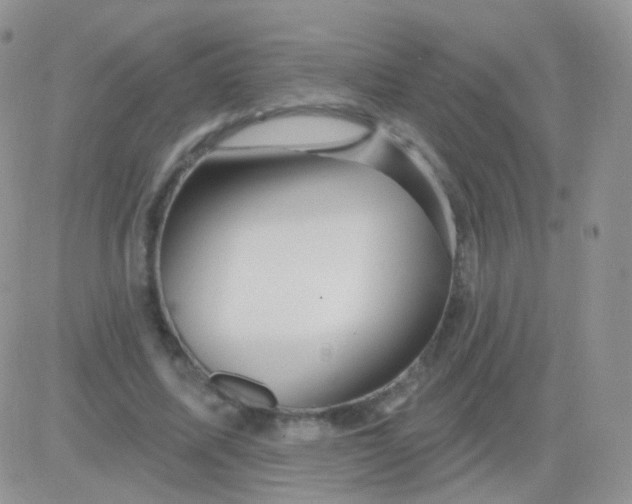 X0000083050587200702231957