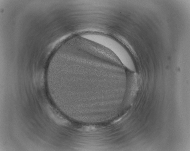 X0000083050588200702231957