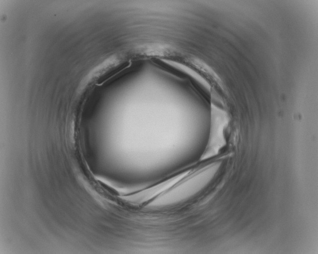 X0000083050589200702231957