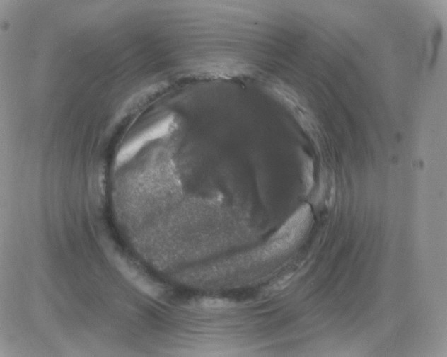 X0000083050590200702231957