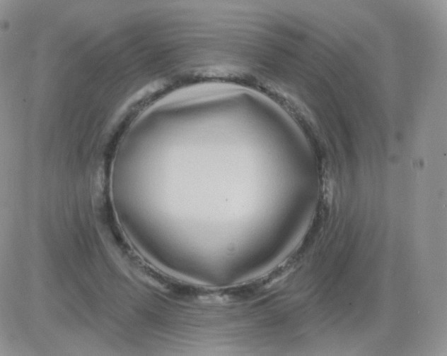 X0000083050591200702231957