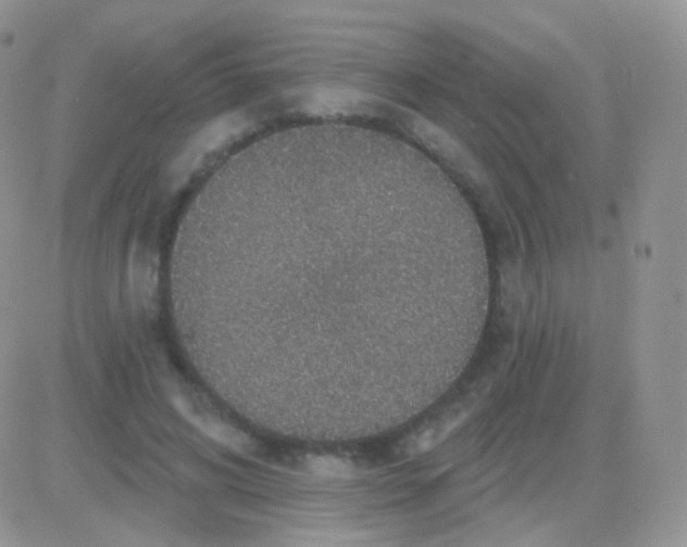 X0000083050592200702231957