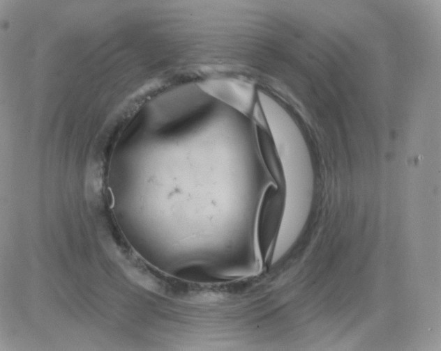 X0000083050593200702231957