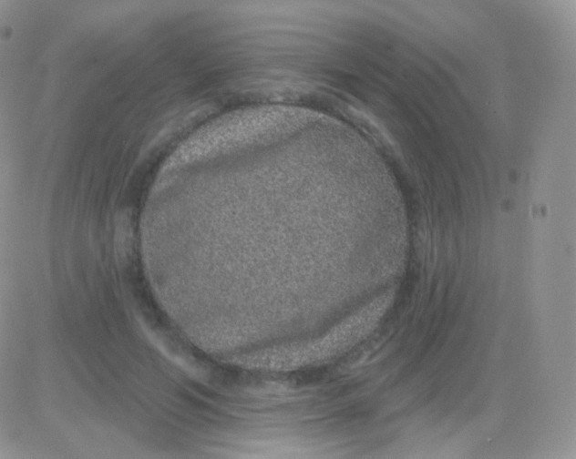 X0000083050594200702231957