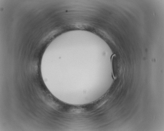 X0000083050595200702231957