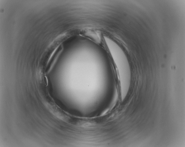 X0000083050597200702231957