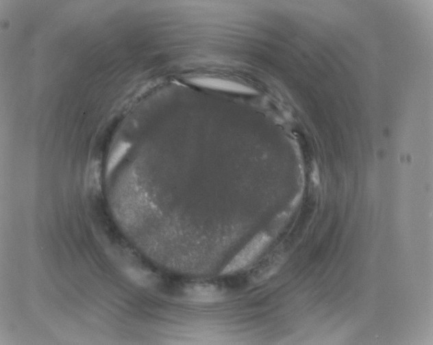 X0000083050598200702231957