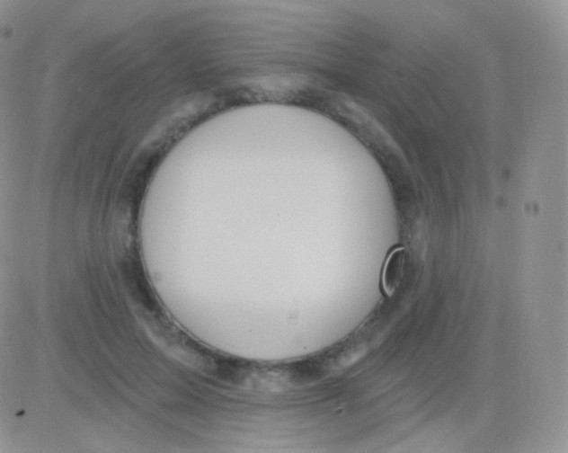 X0000083050599200702231957