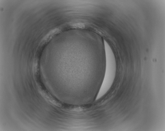 X0000083050600200702231957