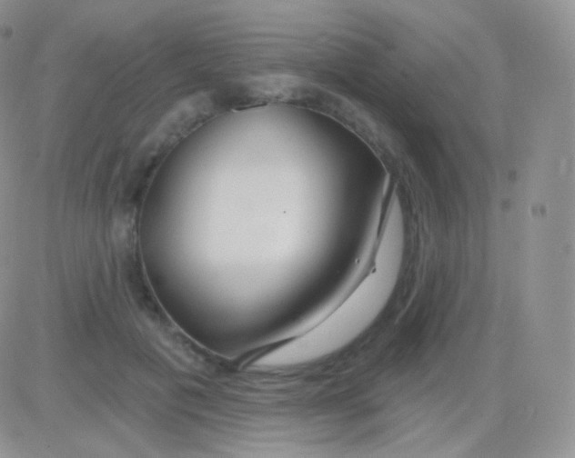 X0000083050601200702231957