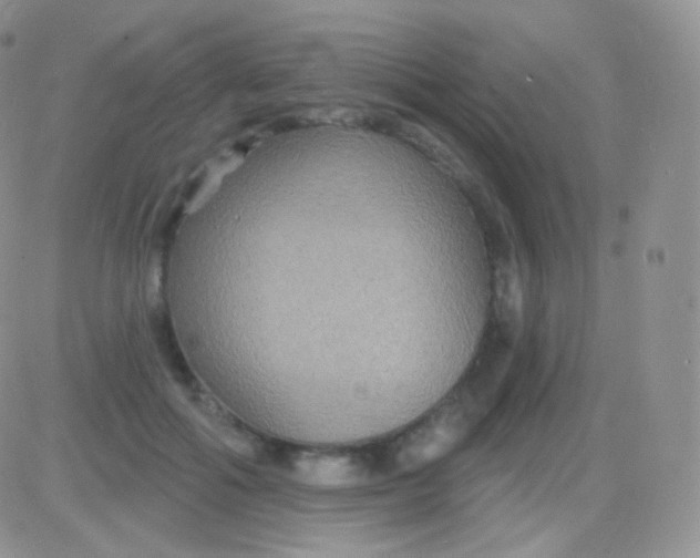 X0000083050602200702231957