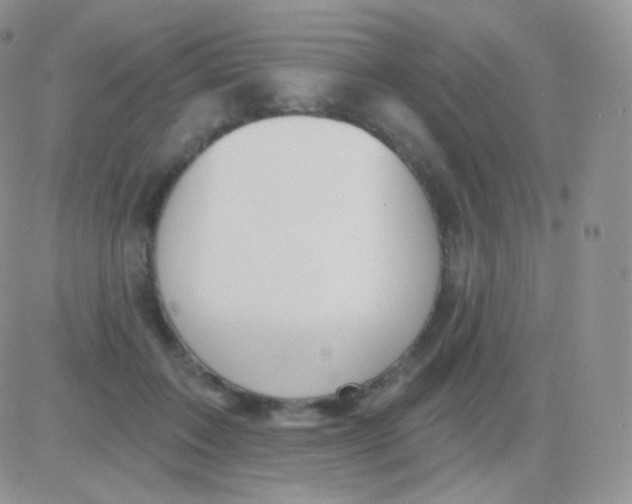 X0000083050603200702231957