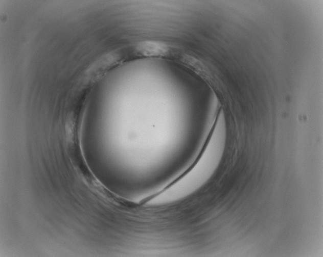 X0000083050604200702231957