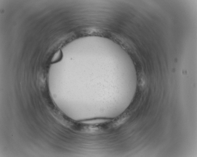 X0000083050607200702231957