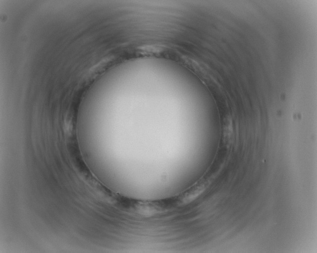 X0000083050608200702231957