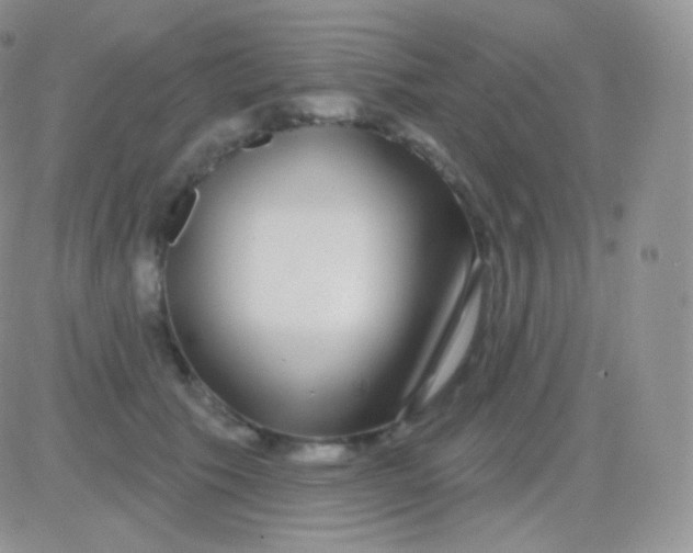 X0000083050609200702231957