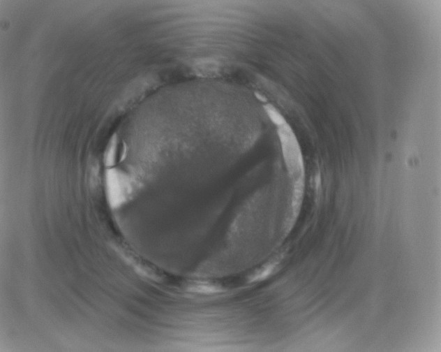 X0000083050610200702231957