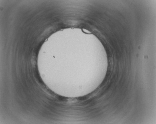 X0000083050612200702231957