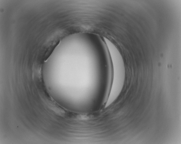 X0000083050613200702231957