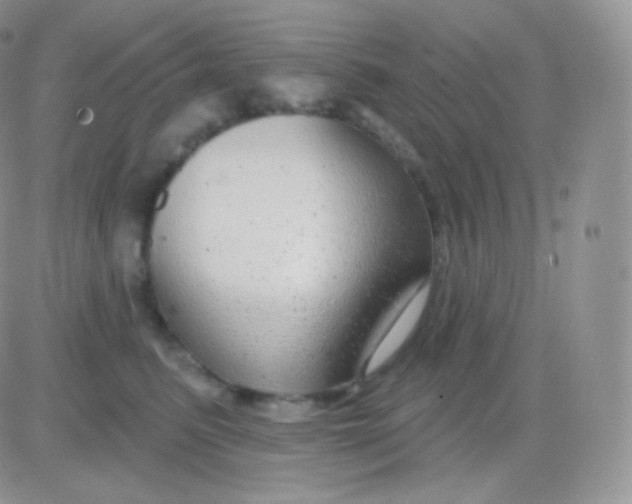 X0000083050615200702231957