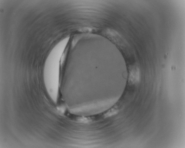 X0000083050616200702231957