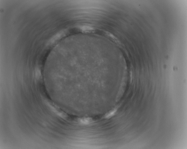 X0000083050618200702231957